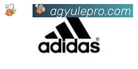 AG娱乐登录合作伙伴